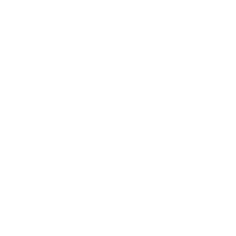 Wandpiraten Logo